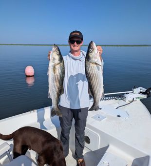 Summer stripers