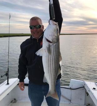 Striped Bass in New Jersey