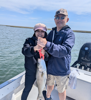 A massive striped bass caught on a successful day of fishing in Atlantic City!