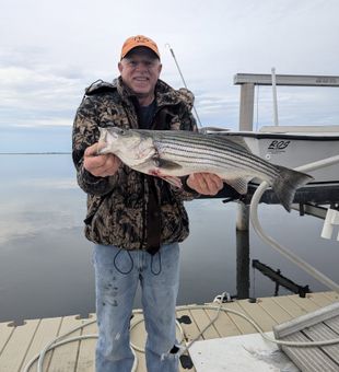 Solid striped bass catch on calm waters!