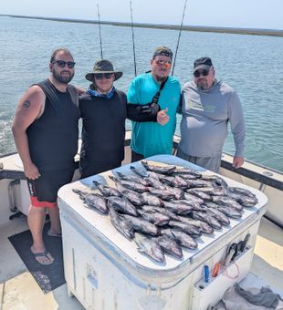 Productive sea bass fishing day on the water!