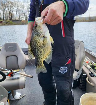 A Black Crappie Catch Worth Bragging About!