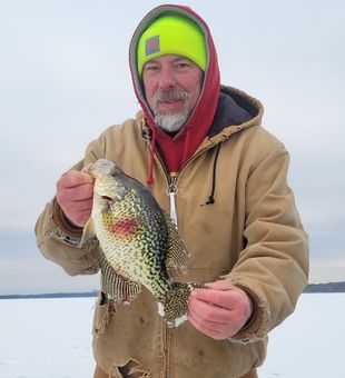 Crappies from Wisconsin Rapids, WI