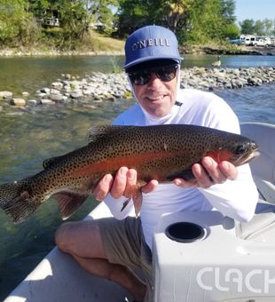 Brown Trout in Redding, CA