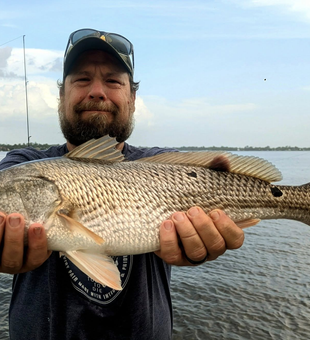Redfish dreams in Jacksonville