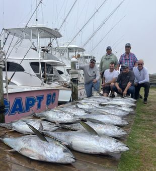 Explore NC Waters with Charters, Tuna