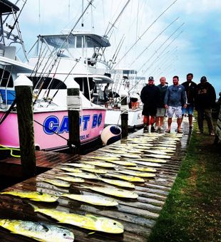 Mahi Mahi Fishing Haven in NC