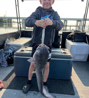 Bottom-dwelling, top excitement!