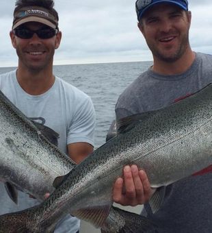 Chinook Salmon from Lake Michigan