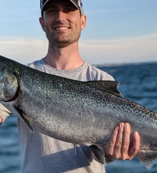 Lake Trout from Lake Michigan