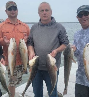 Each One Caught Their Own Trophy : Redfish!