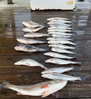  Fishing tours Savannah GA—let’s go!