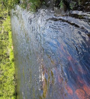 Vivid Adirondack river fishing