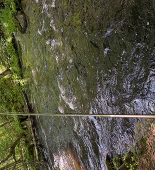Shaded Adirondack stream fishing