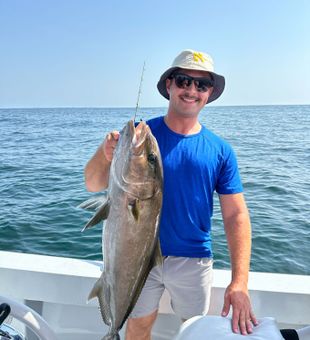 Amberjacks are biting 