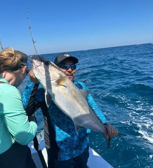 Powerful amberjack offshore catch