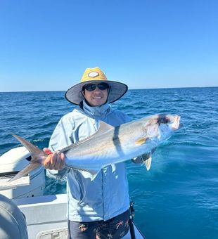 Prized amberjack offshore catch