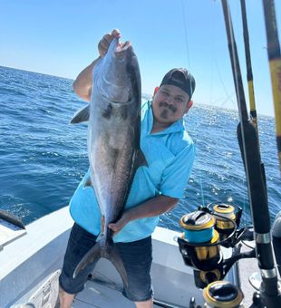 Massive amberjack offshore catch