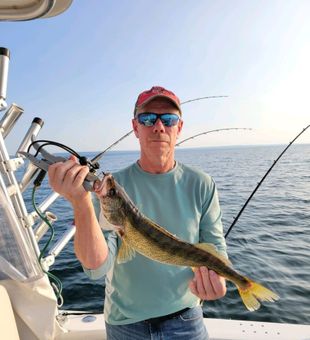 Quality Walleye Catch