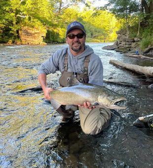 Beautiful Pulaski NY Chinook salmon ready for release!