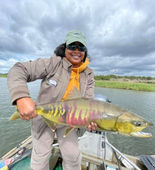 Chum Salmon From Alagnak River, Alaska