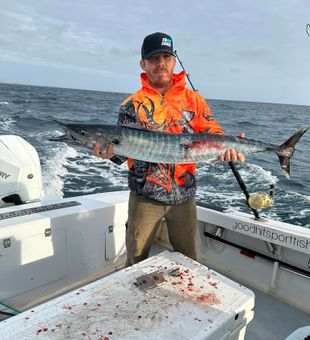 Fish tales from Fort Lauderdale.