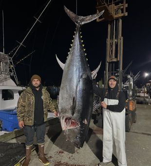Chase the bite offshore.