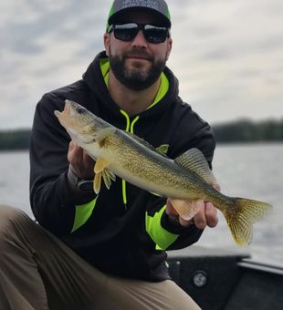 Clean Wisconsin walleye catch