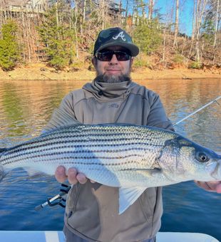 Quality striped bass on clear water