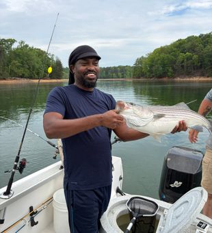 Quality Striped Bass Catch