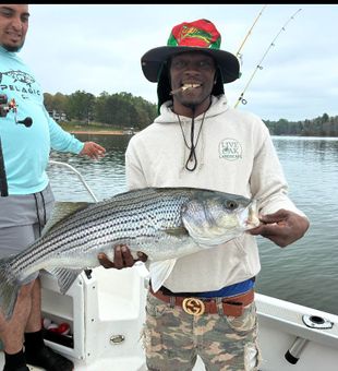 Nice Cumming GA striped bass caught today!
