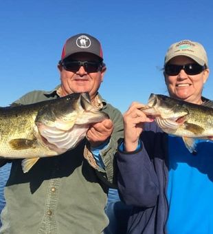 Largemouth Bass in Lake Okeechobee, Florida