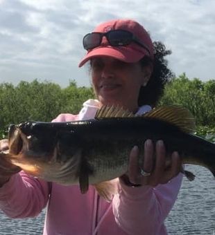 Largemouth Bass in Lake Okeechobee, Florida