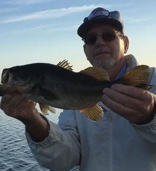 Largemouth Bass in Lake Okeechobee, Florida