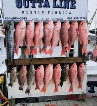 Florida's Finest Fishing Charters Await