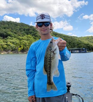 Lake of the Ozarks fishing bass
