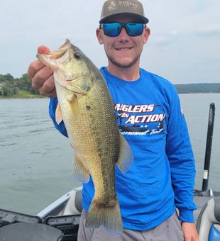 Fall bass fishing Lake of the Ozarks	