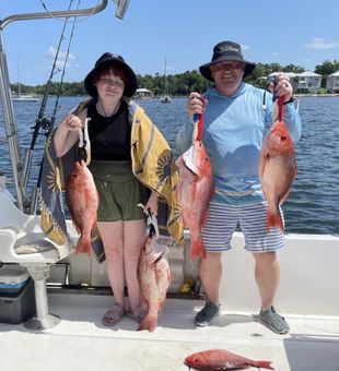 Snapper showdown!
