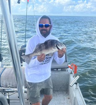 Solid black drum!