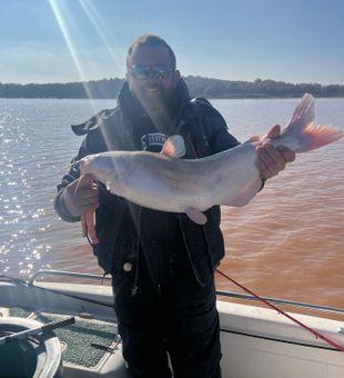 Strong blue catfish caught under the sun
