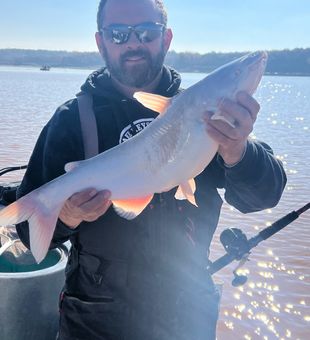 Fresh catch success on Mannford OK waters!