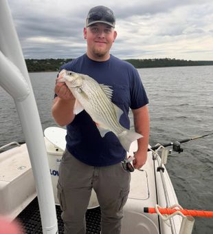Nice striped bass caught in Mannford OK!