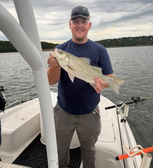 Nice Mannford striped bass brought to the boat!