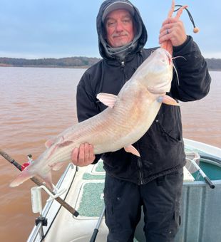 Massive blue catfish landed on cold lake day