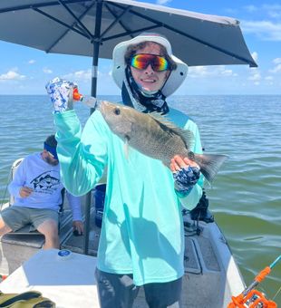 Feisty mangrove snapper!