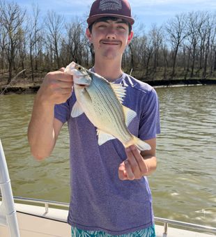 White bass action in Mannford OK!