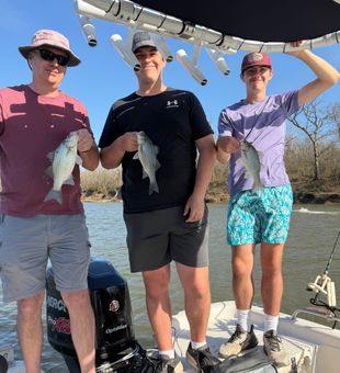 Triple white bass success in Mannford Oklahoma!