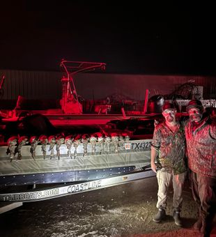 Steady Texas duck action 