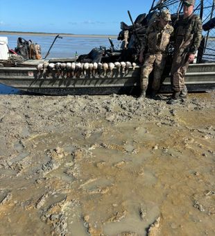 Port Mansfield hunting grounds, huge success today