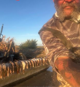 Sunrise duck haul